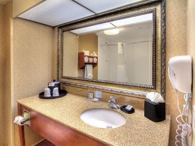 Hotel Hampton 3*